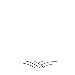 skaliodan-logo-footer